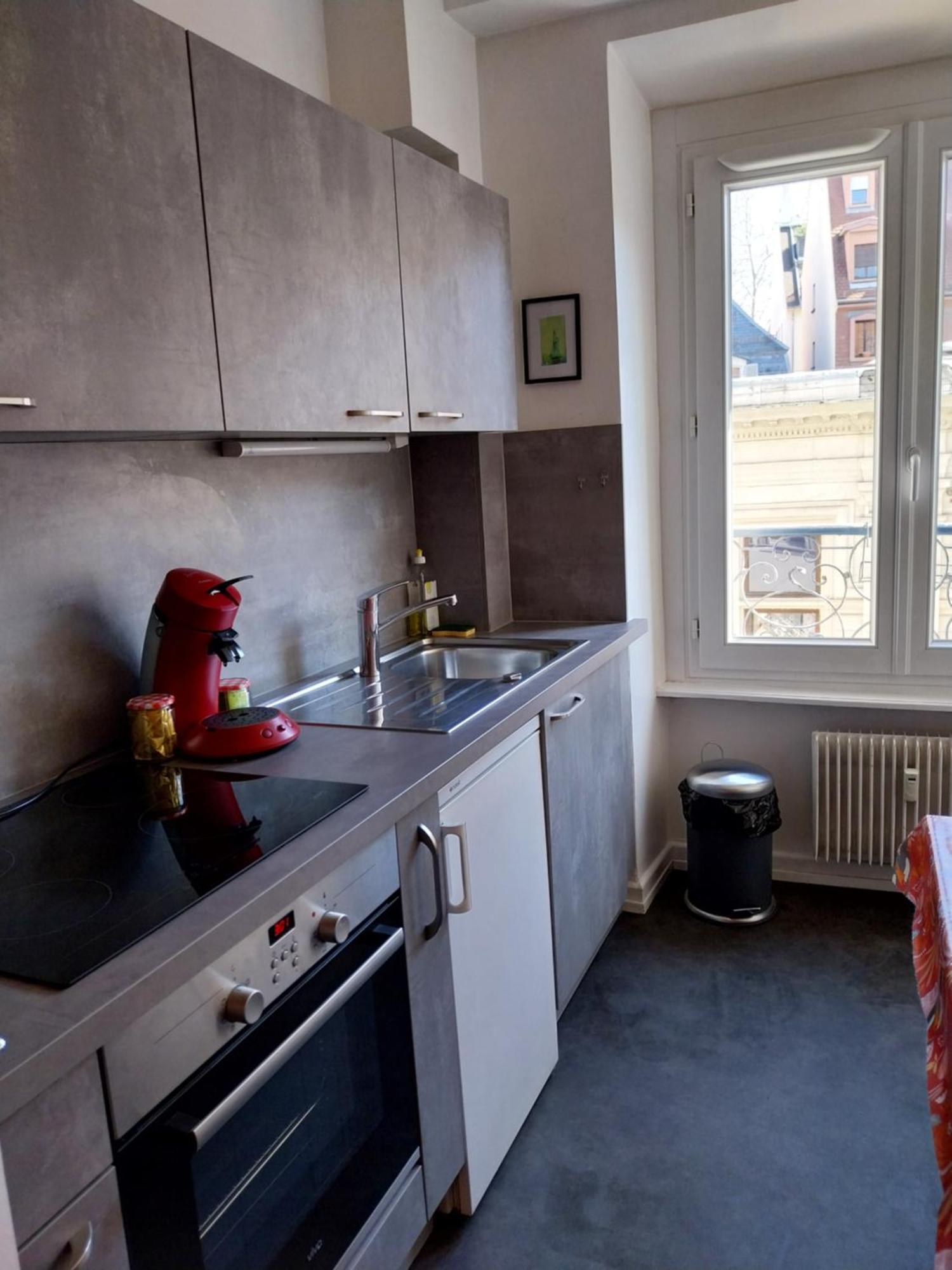 Appartement Hypercentre Vue Cathedrale Strasbourg